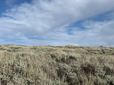 A view of windswept grasslands on the Crow Reservation in Montana