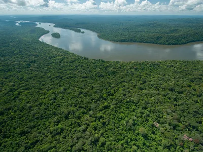 Aerial shot of the Juruena River winding through thick rainforest in Amazonia, Brazil