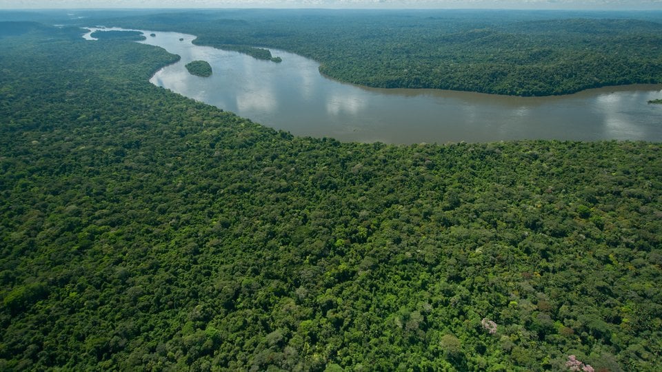 Aerial shot of the Juruena River winding through thick rainforest in Amazonia, Brazil