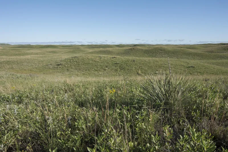 A view of sandhills near Cody, Nebraska
