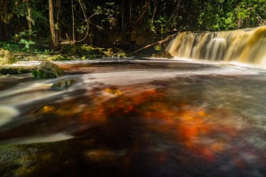 A river with oranges and reds flows through a forest in Colombia