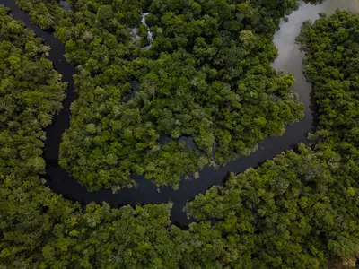 Aerial view of Amazon forest and the Red River