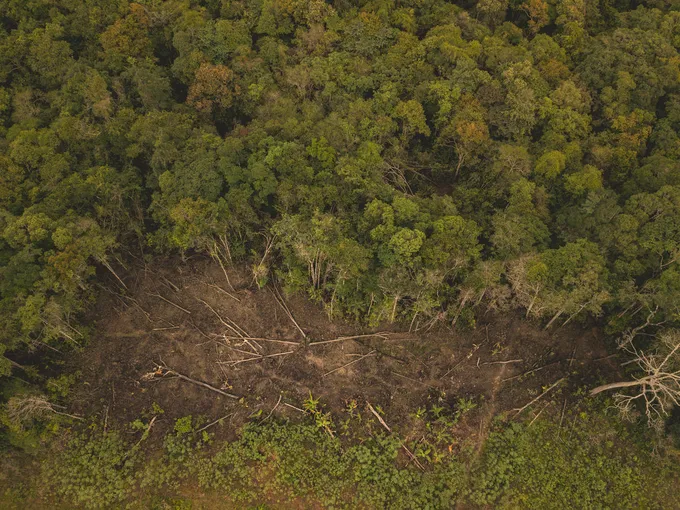 An aerial view of a deforested area next to lush forest in the Colombian Amazon