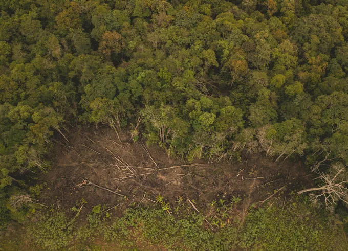 An aerial view of a deforested area next to lush forest in the Colombian Amazon