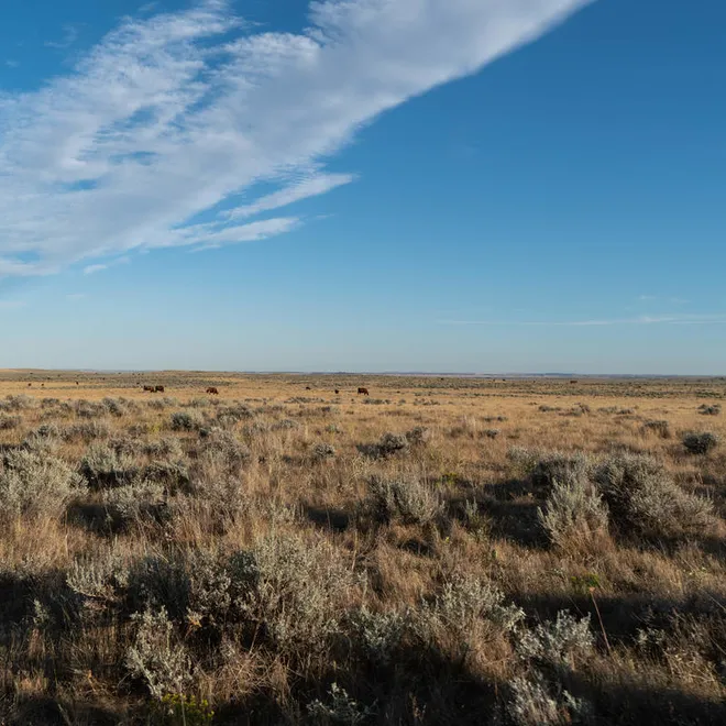 Wide shot of a bright blue sky and brown plains