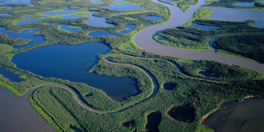 Aerial view of taiga forest, Mackenzie River delta, Northwest Territories, Canada.