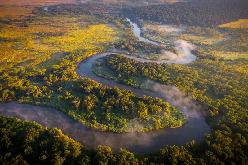 Aerival view of a winding river through lush forests