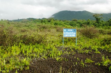 A sign for Virunga National Park in a green field with mountains in the background