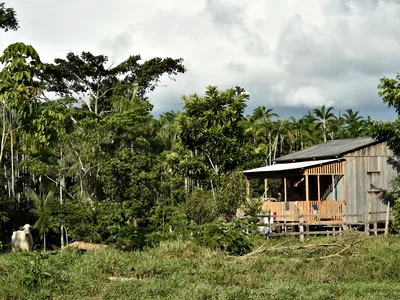 A house amid the rainforest in Cazumba community, Brazil