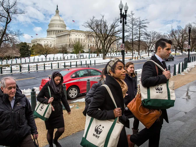 A group of people walk up the steps to a federal building on a snowy day to lobby for conservation funding.