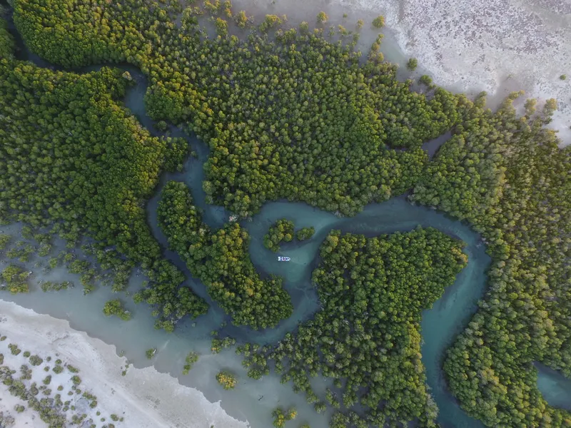 Aerial view of the coastal region of Toliara in Madagascar featuring dense foliage and winding lagoons