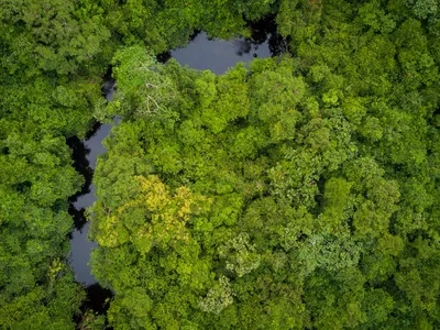 Aerial view of Salonga National Park, Democratic Republic of Congo