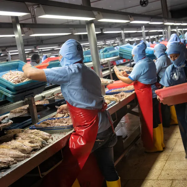 Employees working at NIRSA tuna company tuna processing facility, Posorja, Ecuador
