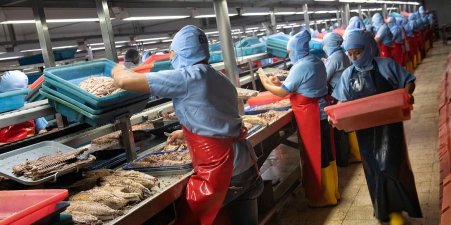 Employees working at NIRSA tuna company tuna processing facility, Posorja, Ecuador