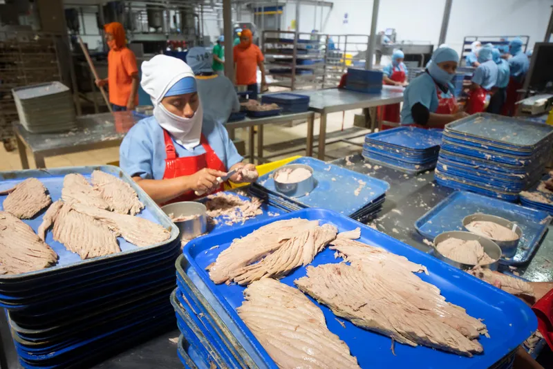Employee processing tuna at the NIRSA tuna company in Posorja, Ecuador
