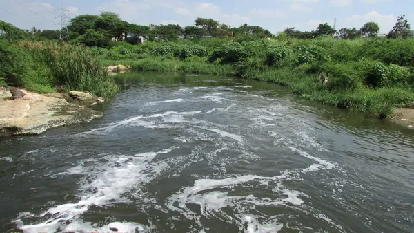 A river with greenery in the background