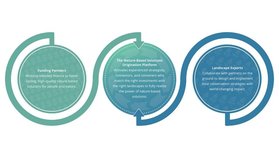 NbSOP flow chart