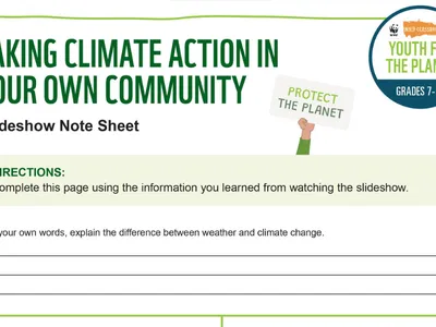A preview of the first page of the activity