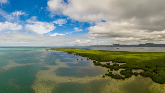 Aerial panorama of mangrove islands