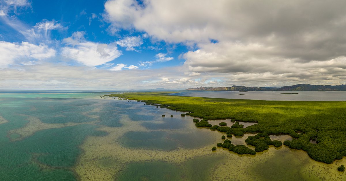 Wwf Fuller Symposium Exploring Oecms For Conservation World Wildlife