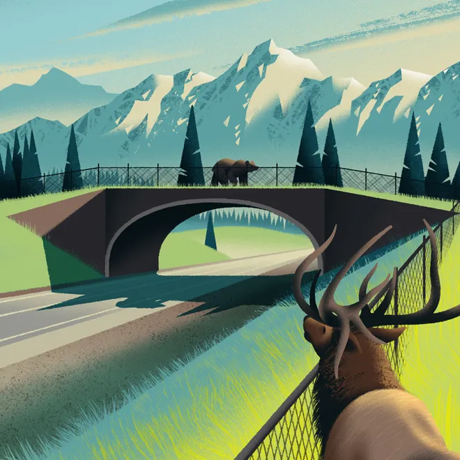Illustration of a wildlife crossing