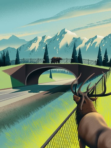 Illustration of a wildlife crossing