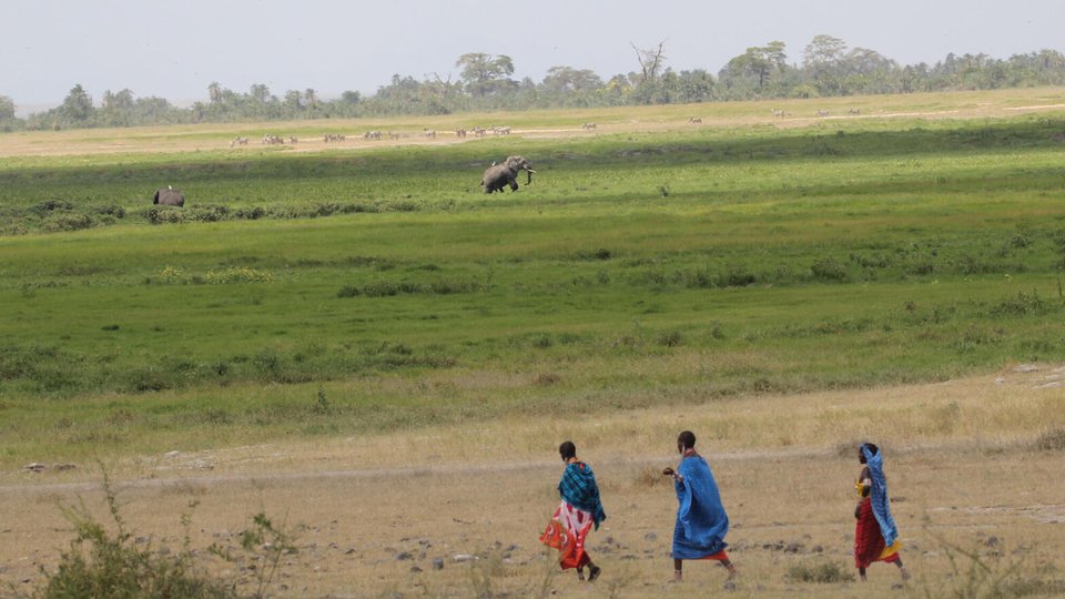 Villagers walking across field with elephants in background