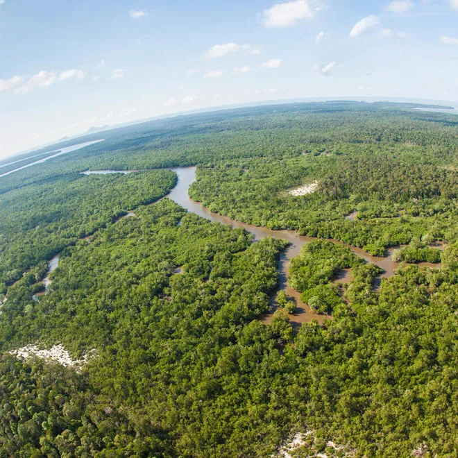 Aerial fisheye photo of forested landscape