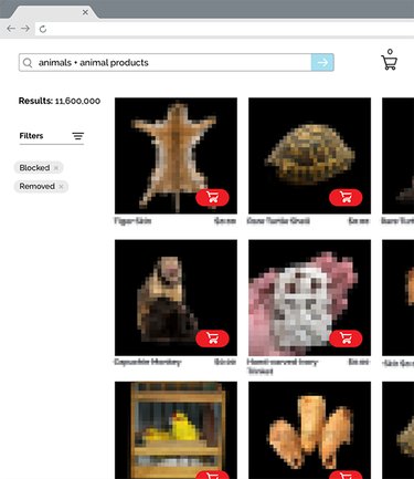 Sample search page showing wildlife trafficking
