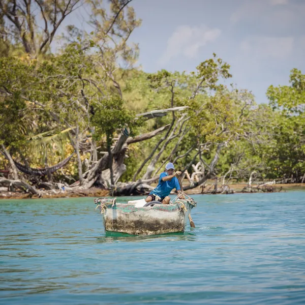 Fisherman in boat with mangroves on nearby shore