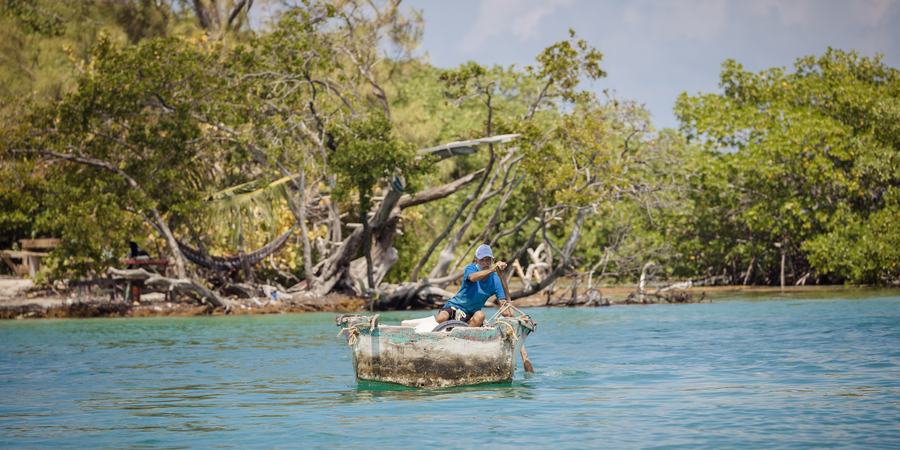Fisherman in boat with mangroves on nearby shore