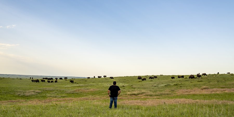 Bud Colmbe stands in front of field of bison on Wolakota Buffalo Range