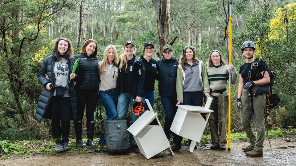 Group photo of the team of women with nestboxes