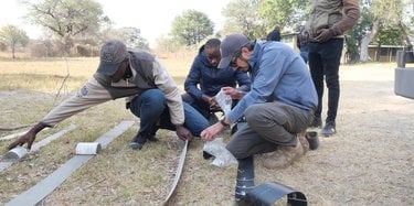 People kneel down to prepare elephant collars.