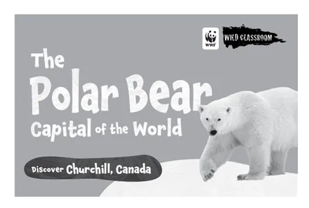 Black and white cover of the polar bear storybook. The text reads 'The Polar Bear Capital of the World. Discover Churchill, Canada'. There is also an image of a polar bear walking.