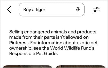 A screenshot with text warning users that selling endangered animals and products made from their parts isn't allowed on Pinterest