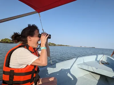 Chaplin-Kramer observes a pelican up close