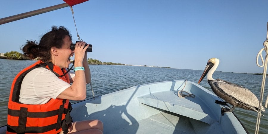 Chaplin-Kramer observes a pelican up close