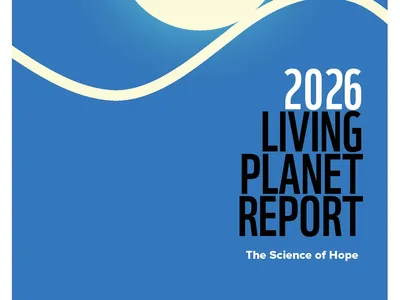 Cover of 2026 Living Planet Report with illustration of planet Earth on blue background