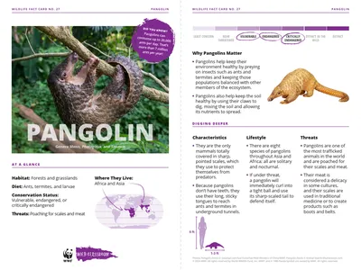 Pangolin Species Card
