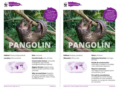 Pangolin Species Card ELL