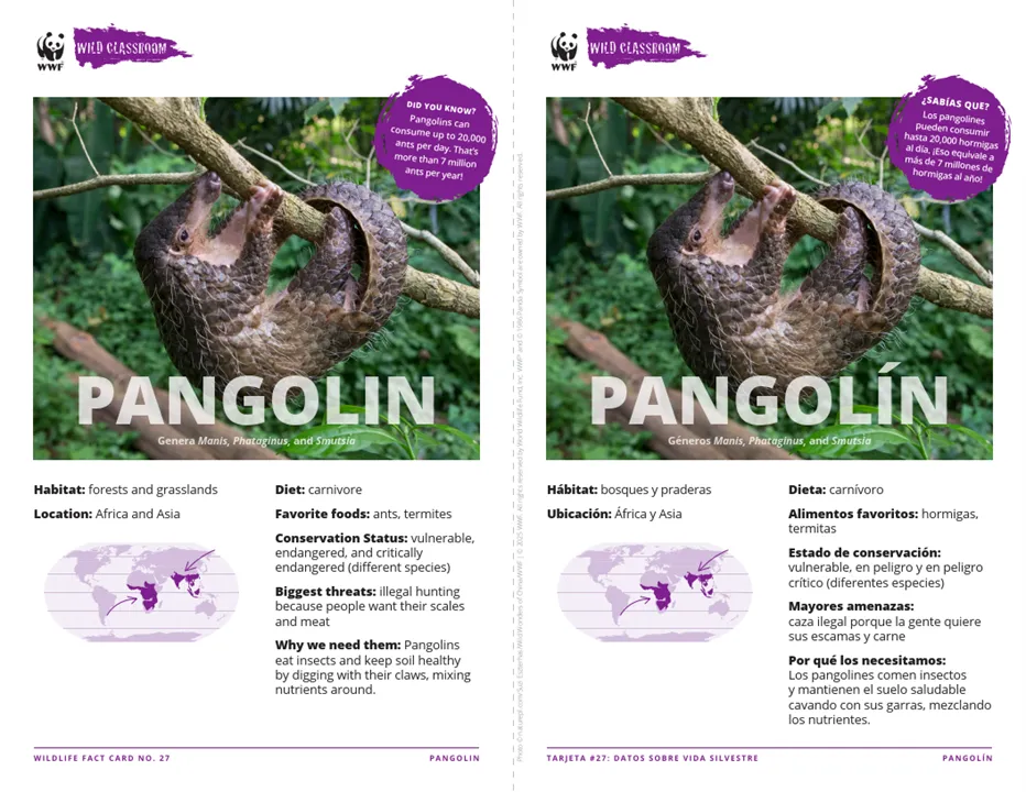 Pangolin Species Card ELL