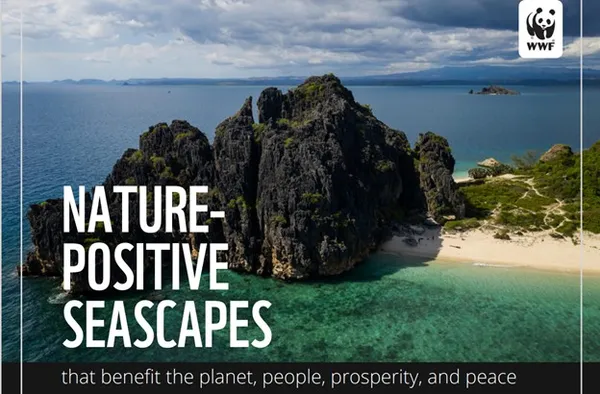 report cover featuring rocky island and clear blue water