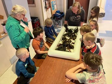Two teachers show elementary schools seaweed on a table