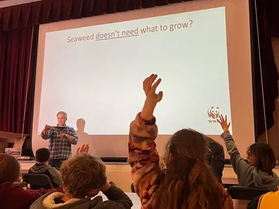 A teacher stands in front of a presentation with the text "Seaweed doesn't need what to grow?" with three students raising their hands