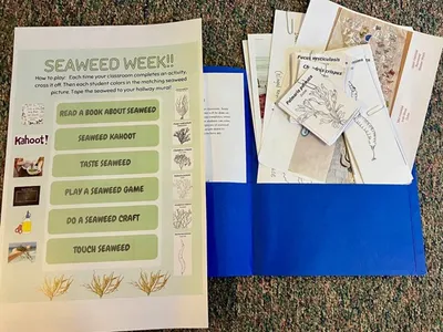 A photo of student materials, including a worksheet titled "Seaweed Week"