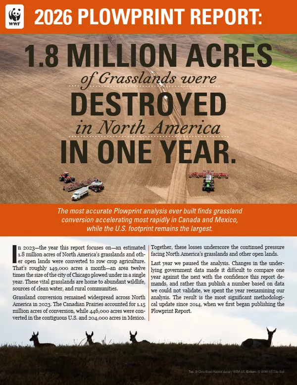 The Plowprint Report cover shows text overlaying a giant plowed up space and features silhouettes of pronghorn at the bottom