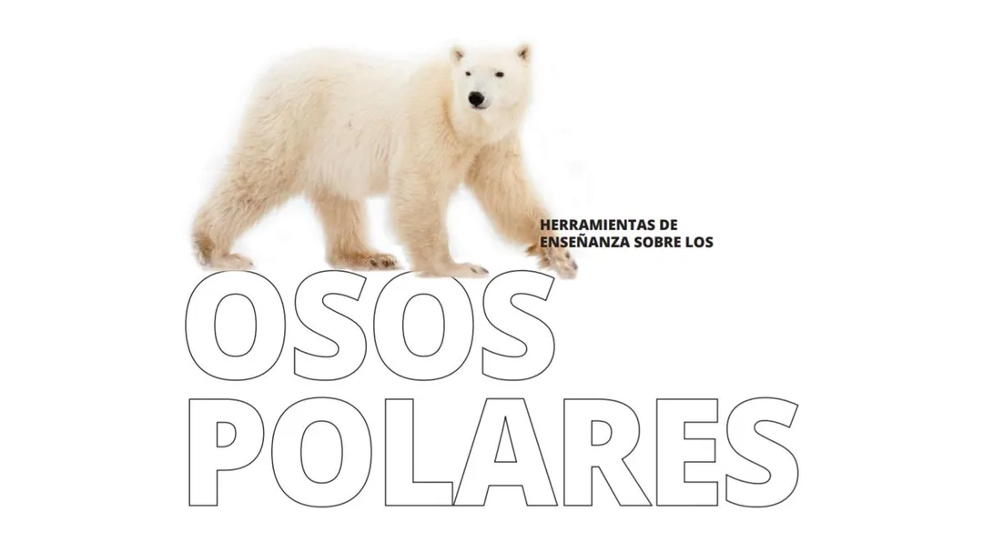 Herramientas Completas sobre los Osos Polares