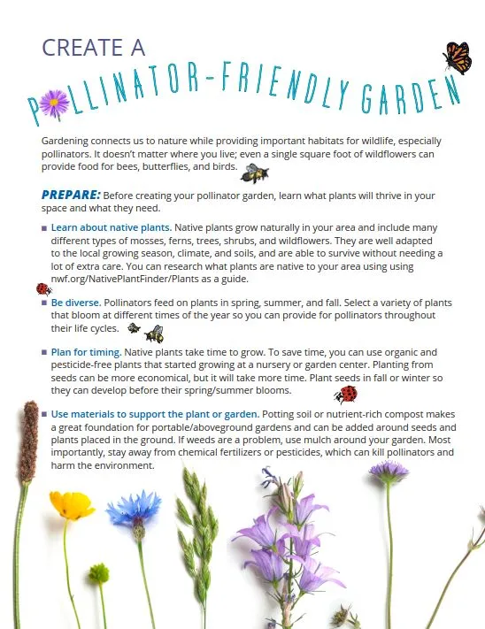 Pollinator Garden Guide and Wildflower Journal