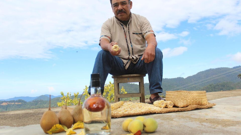 Head shot of Porfirio Hernandez